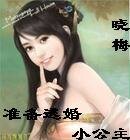 准备逃婚的小公主