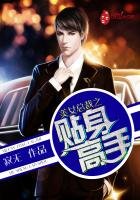 《美女总裁之贴庸高手》
