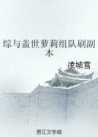 (综同人)综与盖世萝莉组队刷副本