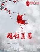《陨归莱茵》