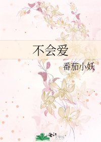 《不会爱》