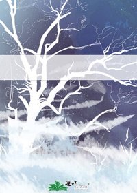《穿越之本上神玩養成的那些年》