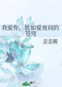 《我爱你,犹如爱夜间的苍穹》