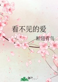《看不见的爱》