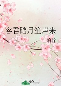 《容君踏月笙聲來》
