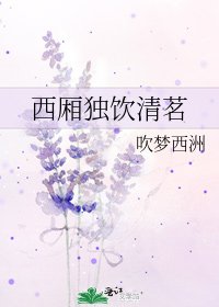 《西厢独饮清茗》