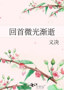 《回首微光渐逝》