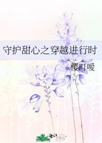 守护甜心之穿越进行时