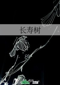 《长寿树》