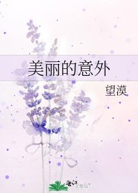 美丽的意外