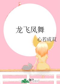 《龙飞凤舞》