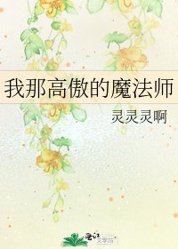 我那高傲的魔法師