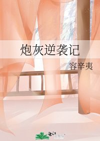炮灰逆袭记