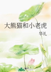 《大熊猫和小老虎》