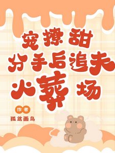 《宠!撩!甜!分手欢追夫火葬场》